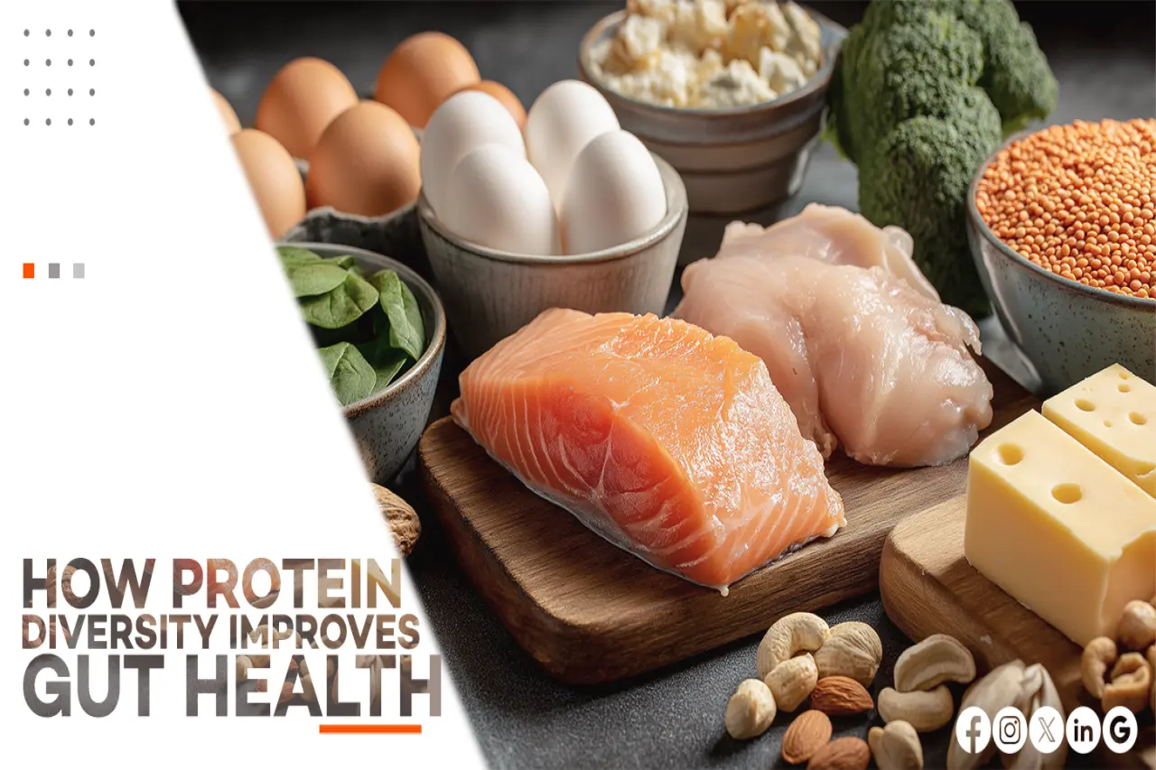 HOW PROTEIN DIVERSITY IMPROVES GUT HEALTH