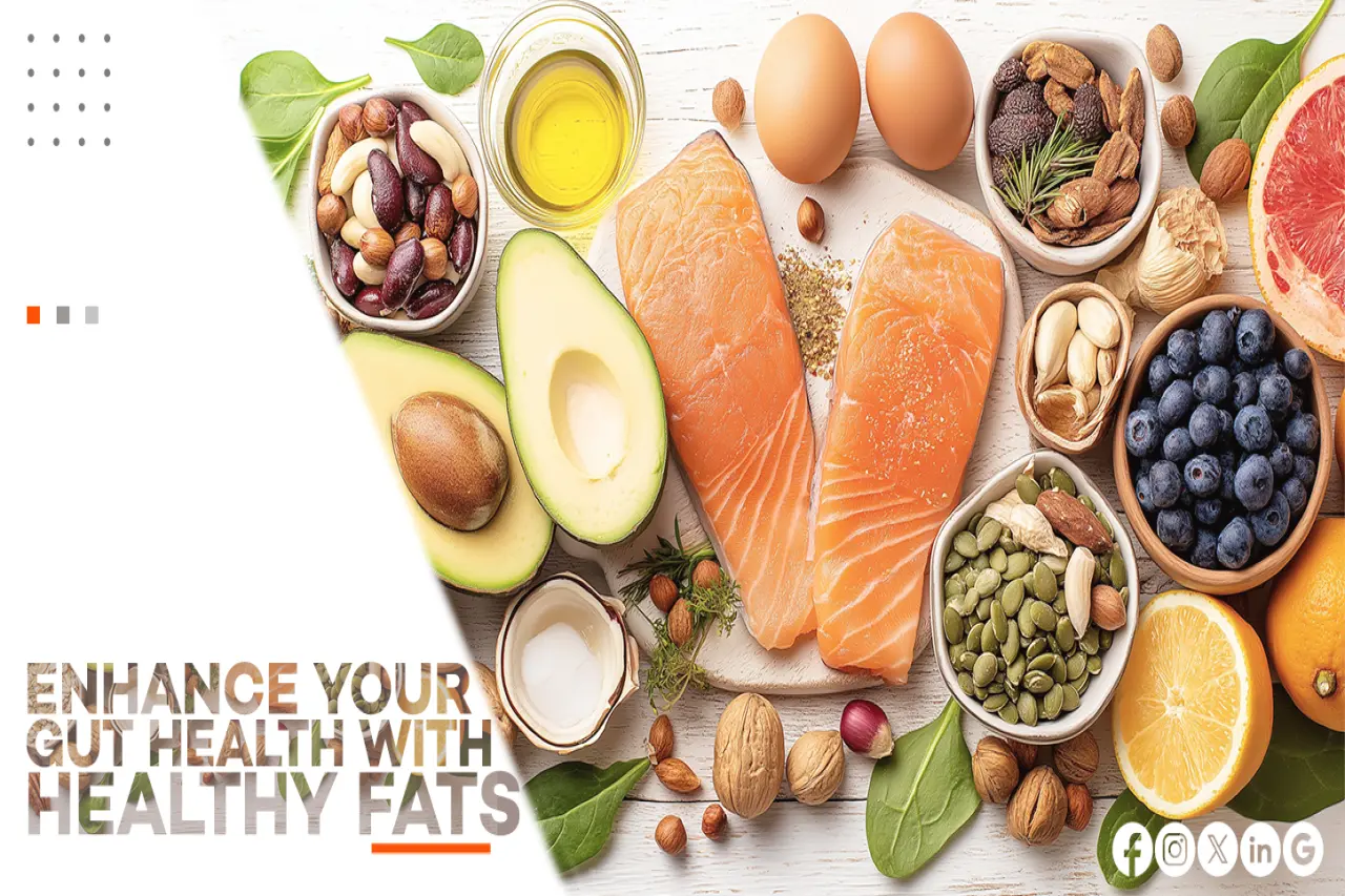 ENHANCE YOUR GUT HEALTH WITH HEALTHY FATS