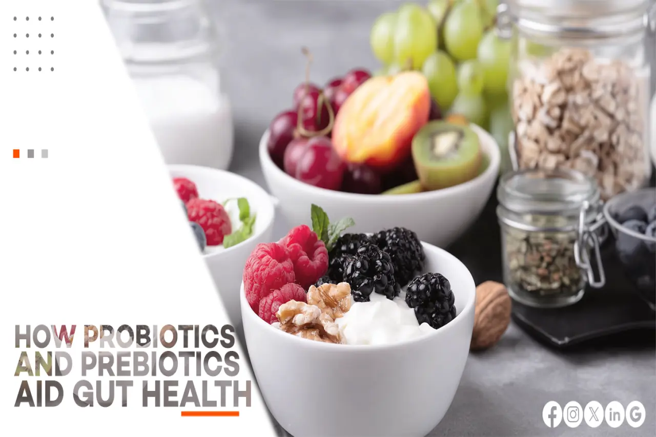 HOW PROBIOTICS AND PREBIOTICS AID GUT HEALTH