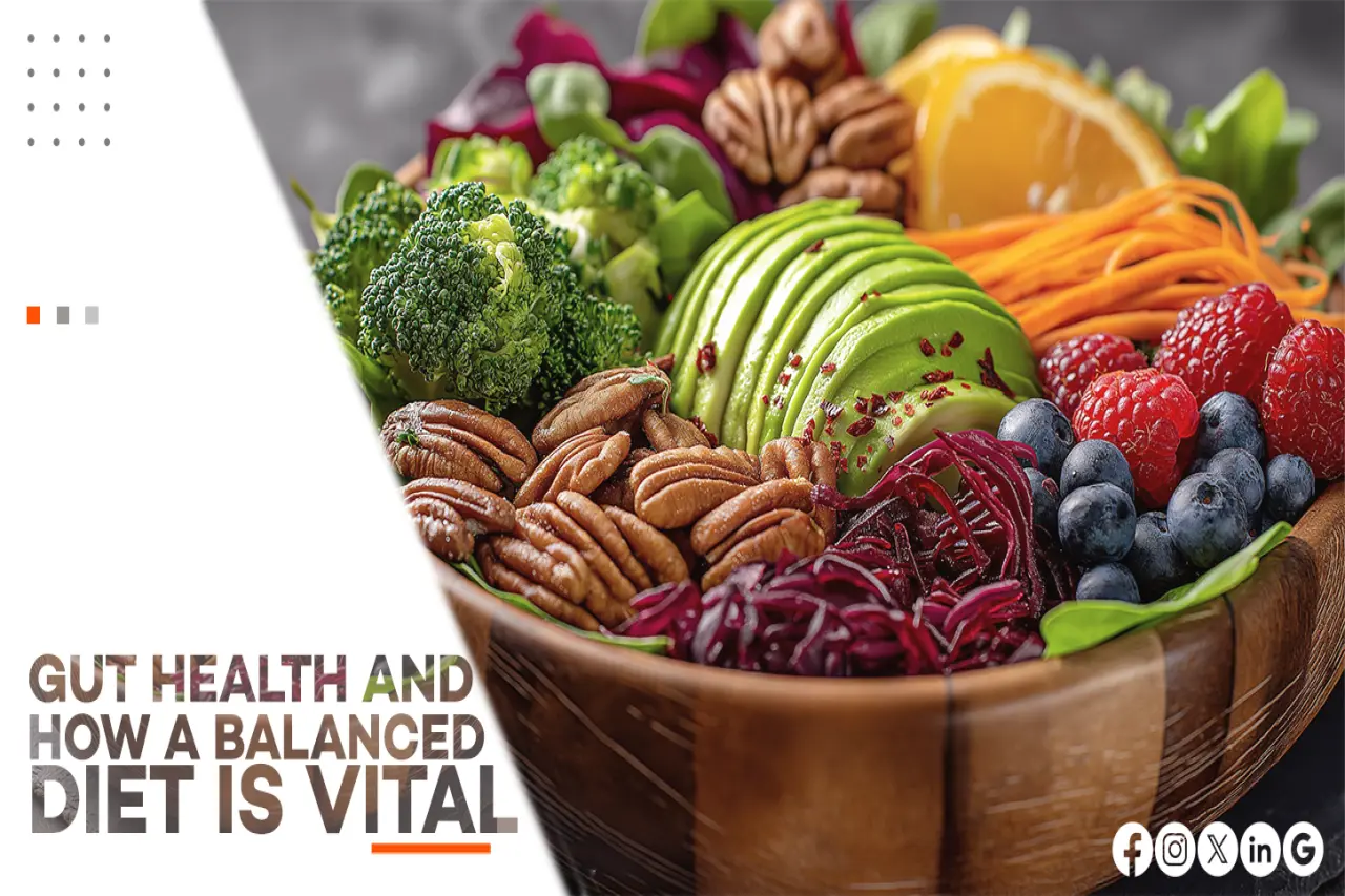 GUT HEALTH AND HOW A BALANCED DIET IS VITAL