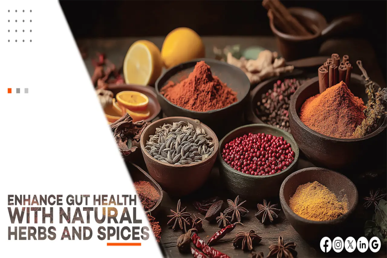 ENHANCE GUT HEALTH WITH NATURAL HERBS AND SPICES
